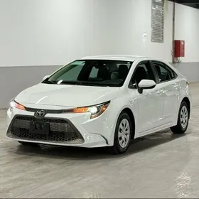 Toyota Corolla 2020
