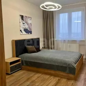 MIR 4