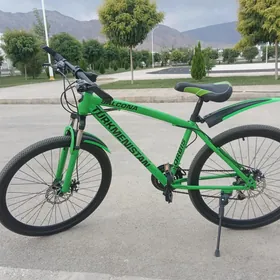 Turkmenistan tigir