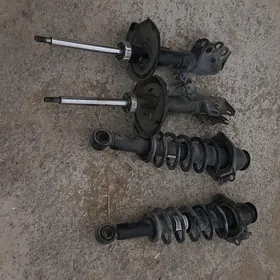 Carolla ammassisator