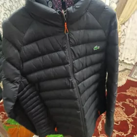 Kurtga  lacoste