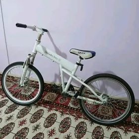 welosepet