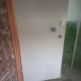 Дверь железная