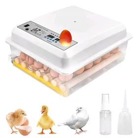 inkubator kuluçka makina