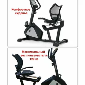 Sport enjamlari