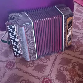 akardion