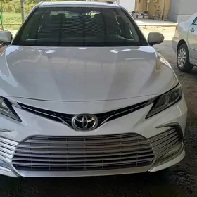 Toyota Camry 2020