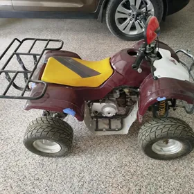 Yamaha Artistic 2007