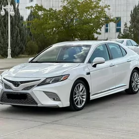 Toyota Camry 2019