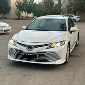 Toyota Camry 2019