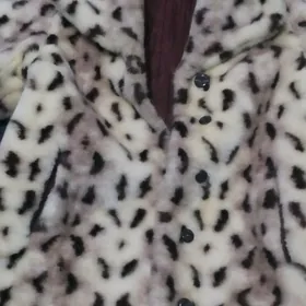 şuba