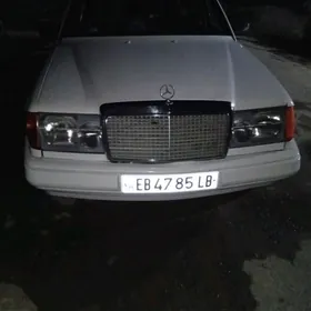 Mercedes-Benz W123 1991