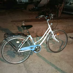 welik 26 6 skor
