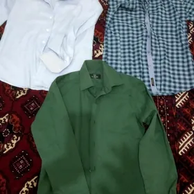 koynekler