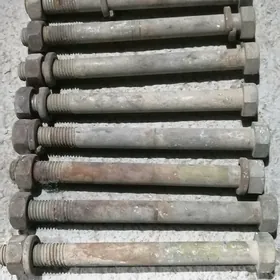 Bolt gayka