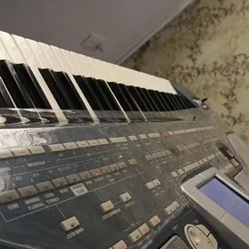 korg pa800 gyssagly