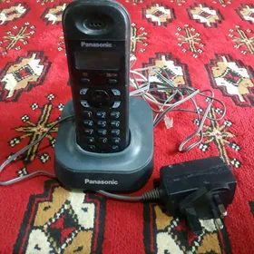 Panasonic