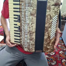 Akkordeon