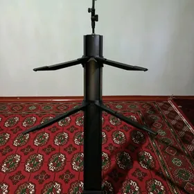 Pauk stoyka