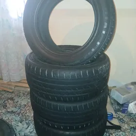 teker Rotala 225.55.16