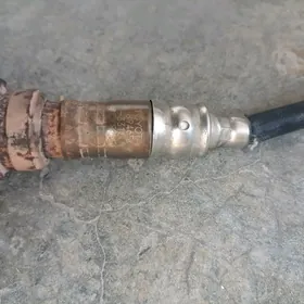 Katalizator datcik