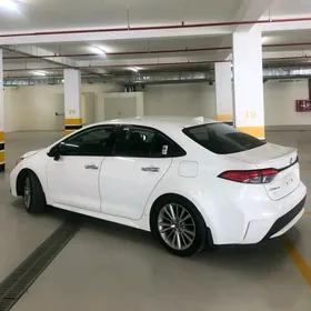 Toyota Corolla 2020