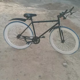sport tigir