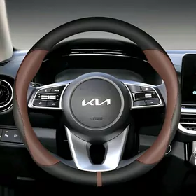 Kia Forte Rul Gapak