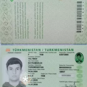 Zagran pasport pasport
