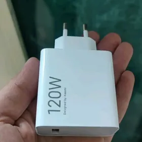 Zarýatnik 120 W