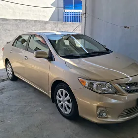 Toyota Corolla 2010