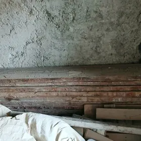 wulikan towşan