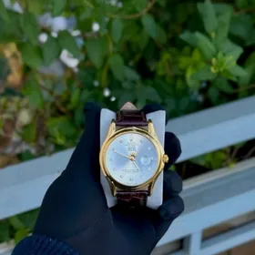 Sagat /Rolex