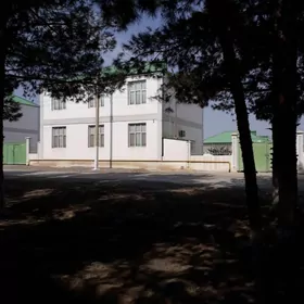GÖKDEPE KATTEZ