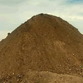 гум дерс