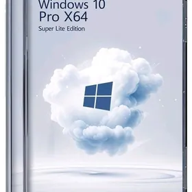 Windows 10 Pro