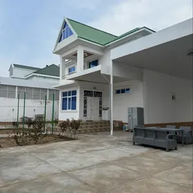 Anew gos katej