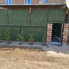 квартира