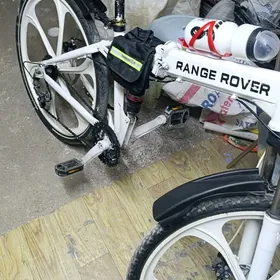 tigir sportivny 5 skors