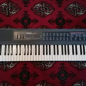 Ritm blok Casio