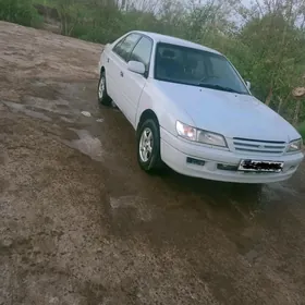 Toyota Corona 2001