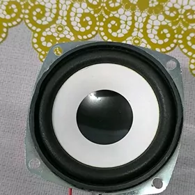 kici kalonka bass