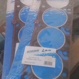 opel golowka proklatka