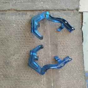 kapot petle aziada morda