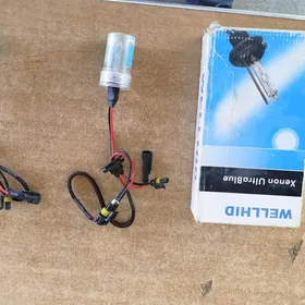 Xenon Sinon lampa H11