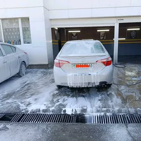 Toyota Corolla 2014