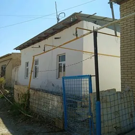 satlyk daca