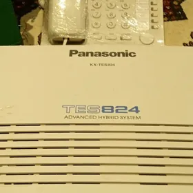 Panasonic