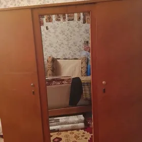 шфанер