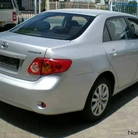 corolla purjyn yzky kesilen